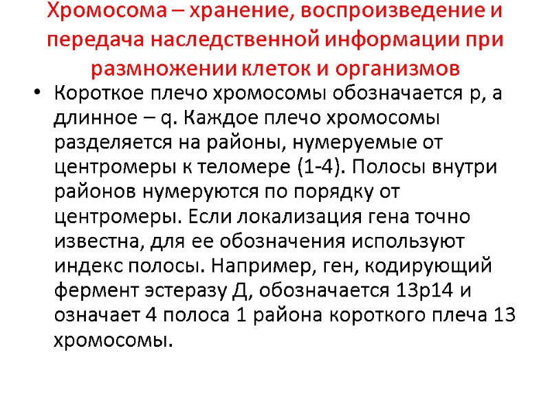 Хромосома – хранение, воспроизведение и передача наследственной информации при размножении клеток и организмов Короткое